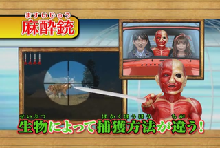 Illustration for article titled This Is Not An Attack On Titan Game